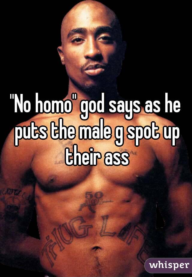 "No homo" god says as he puts the male g spot up their ass