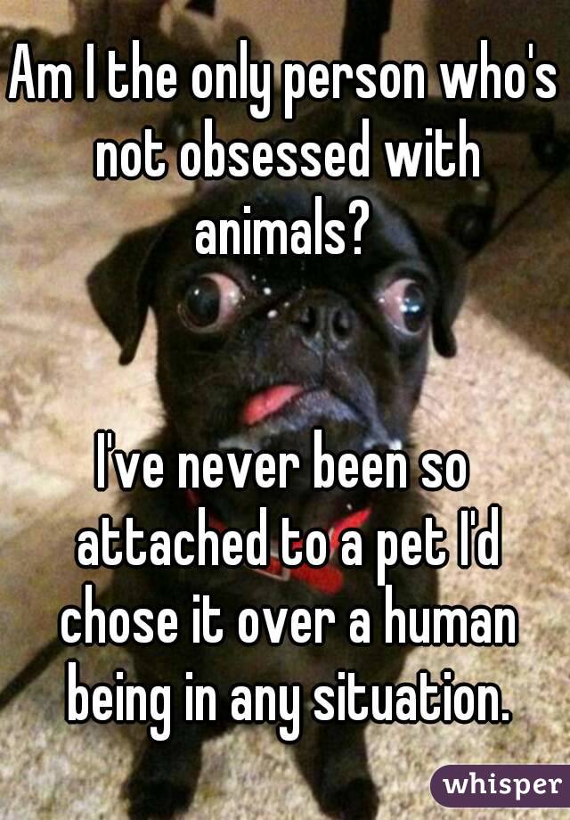 Am I the only person who's not obsessed with animals? 


I've never been so attached to a pet I'd chose it over a human being in any situation.