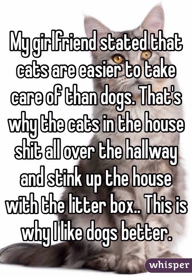 My girlfriend stated that cats are easier to take care of than dogs. That's why the cats in the house shit all over the hallway and stink up the house with the litter box.. This is why I like dogs better. 