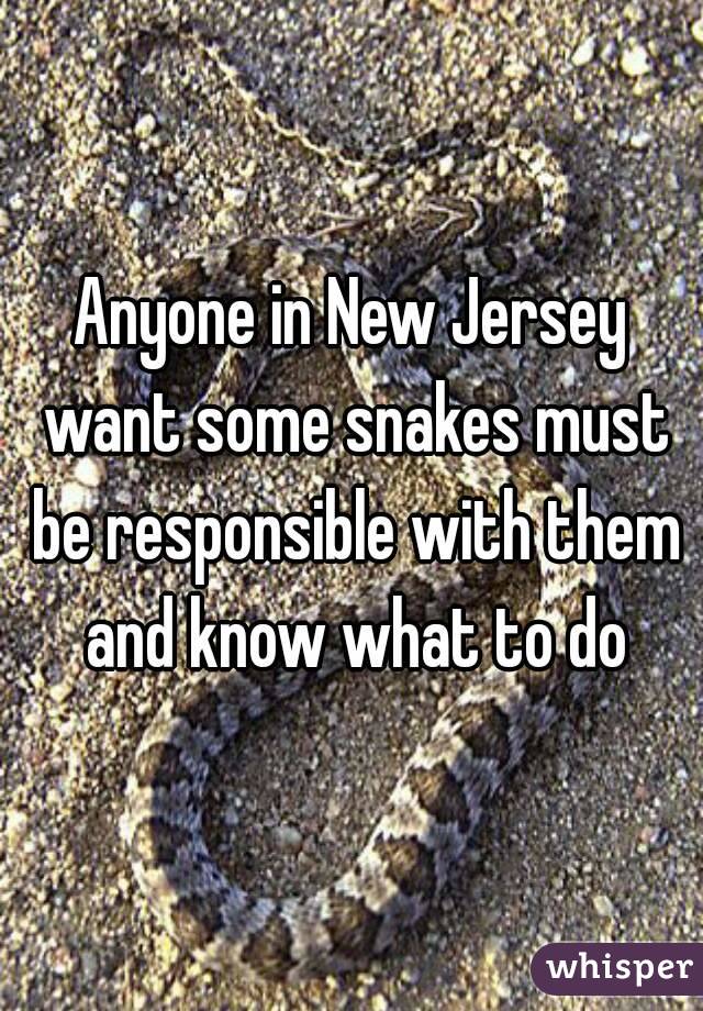 Anyone in New Jersey want some snakes must be responsible with them and know what to do