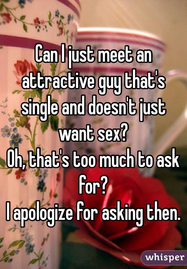 Can I just meet an attractive guy that's single and doesn't just want sex? 
Oh, that's too much to ask for?
I apologize for asking then. 