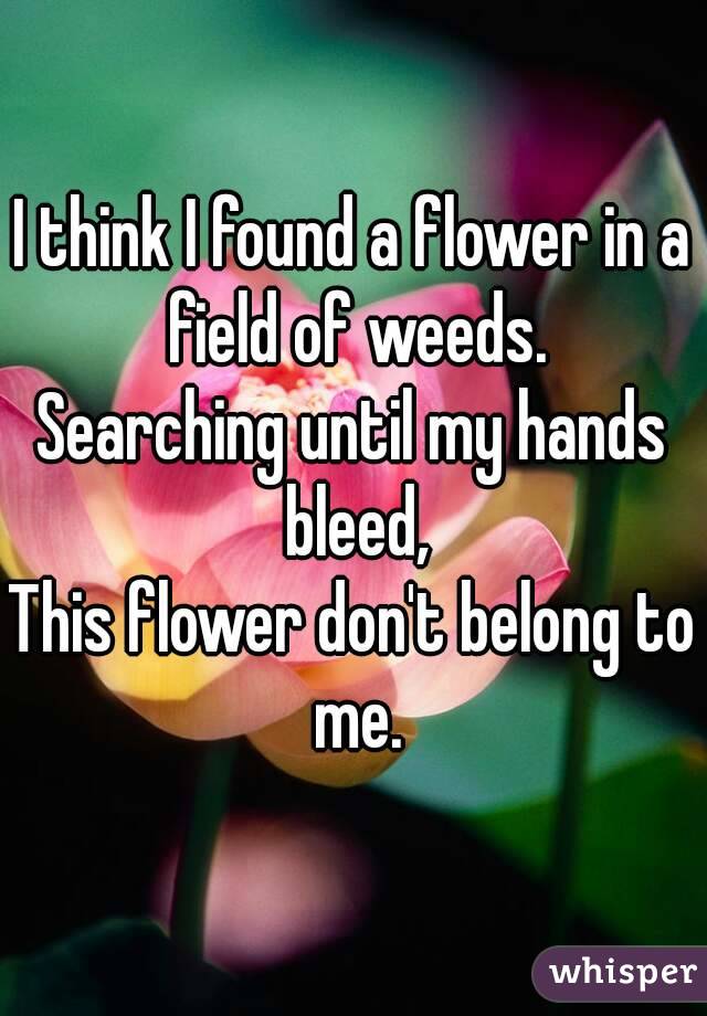 I think I found a flower in a field of weeds.
Searching until my hands bleed,
This flower don't belong to me.