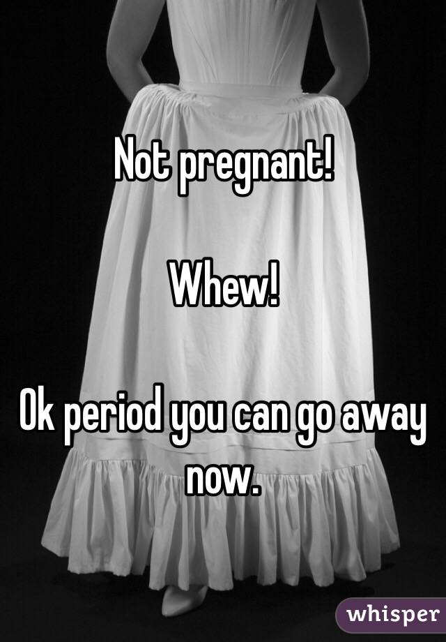 Not pregnant!

Whew! 

Ok period you can go away now. 