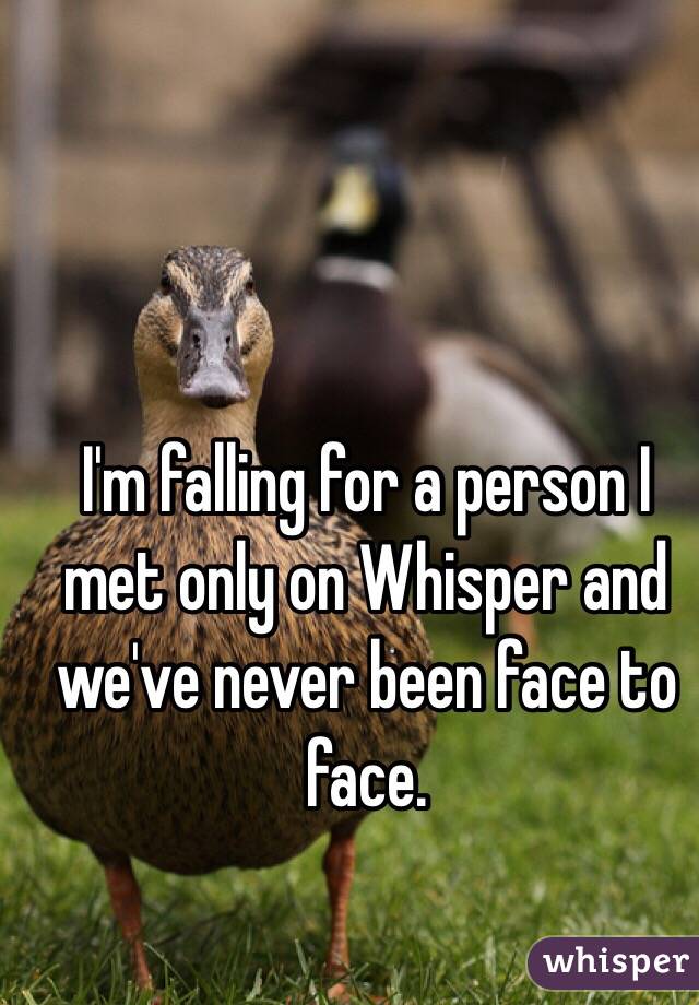 I'm falling for a person I met only on Whisper and we've never been face to face. 