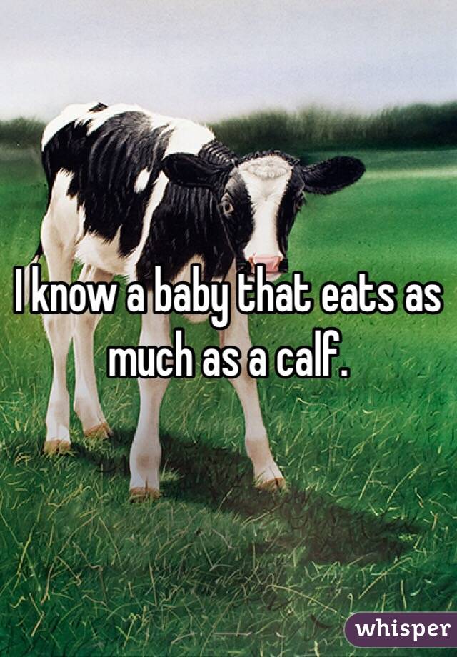I know a baby that eats as much as a calf. 