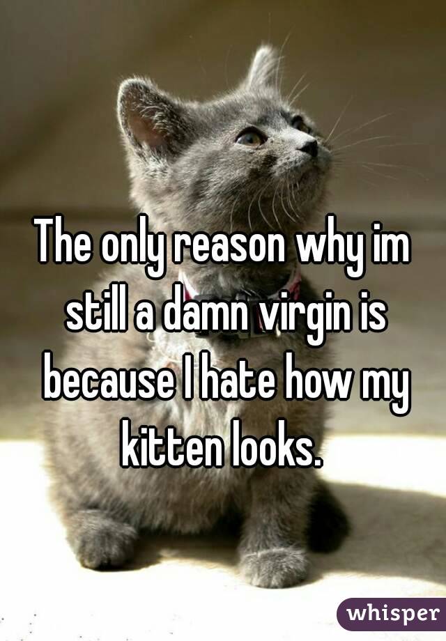 The only reason why im still a damn virgin is because I hate how my kitten looks. 