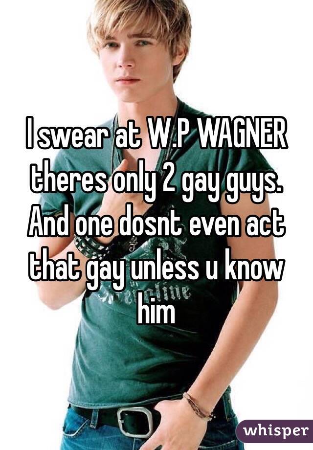 I swear at W.P WAGNER theres only 2 gay guys. And one dosnt even act that gay unless u know him 