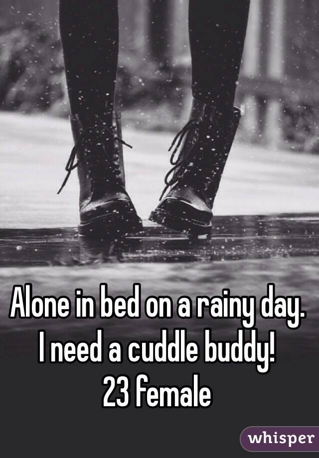 Alone in bed on a rainy day. I need a cuddle buddy!
23 female