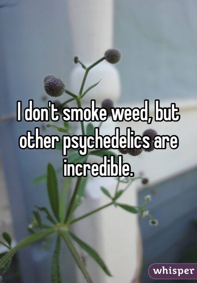 I don't smoke weed, but other psychedelics are incredible. 