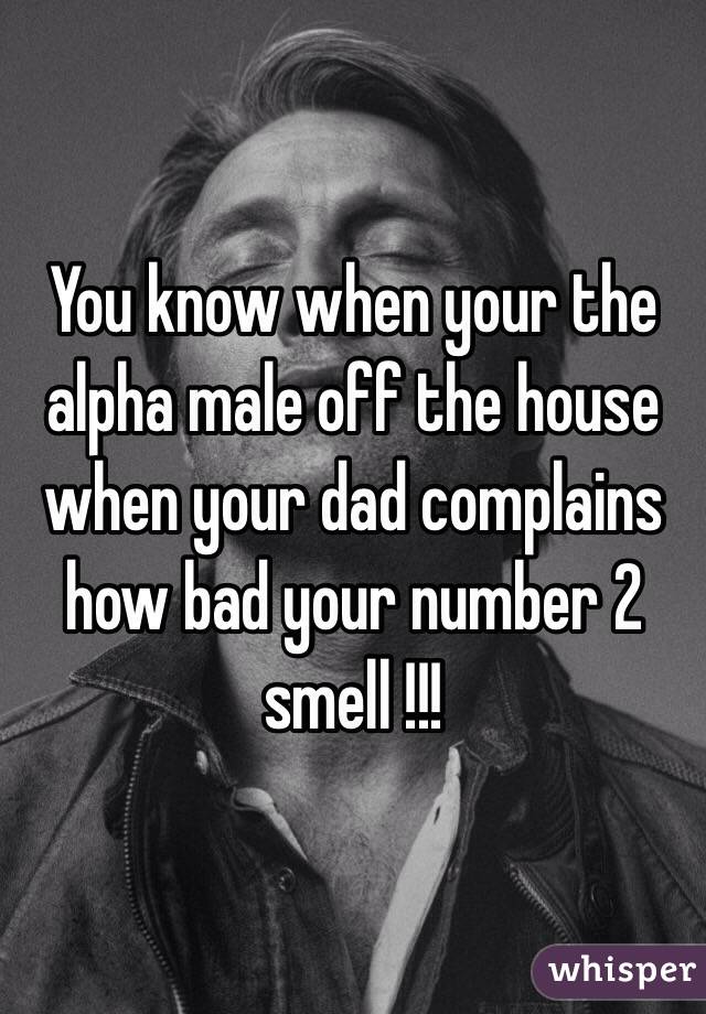 You know when your the alpha male off the house when your dad complains how bad your number 2 smell !!! 