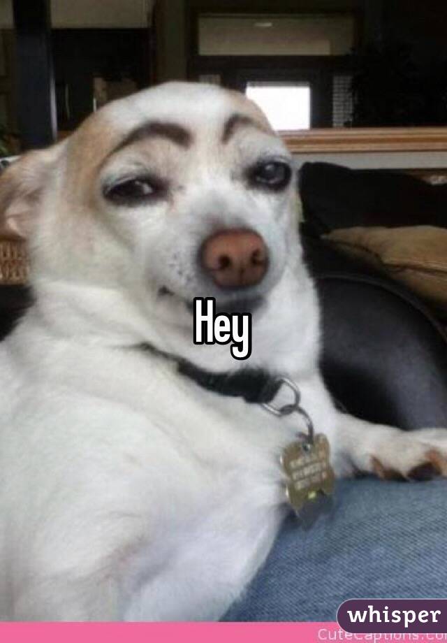 Hey 