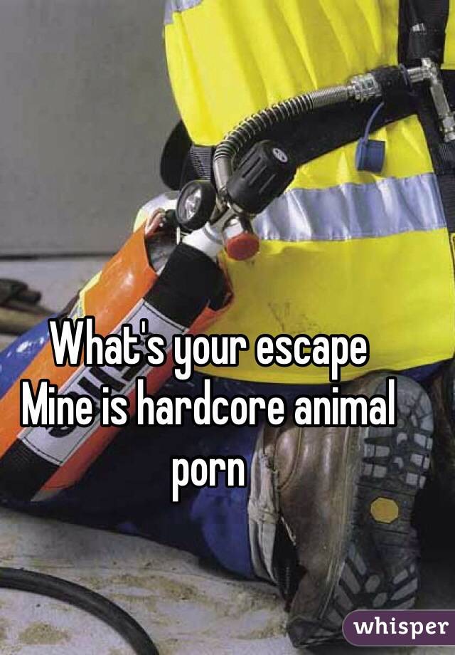 What's your escape
Mine is hardcore animal porn