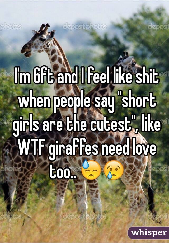 I'm 6ft and I feel like shit when people say "short girls are the cutest", like WTF giraffes need love too.. 😓😢