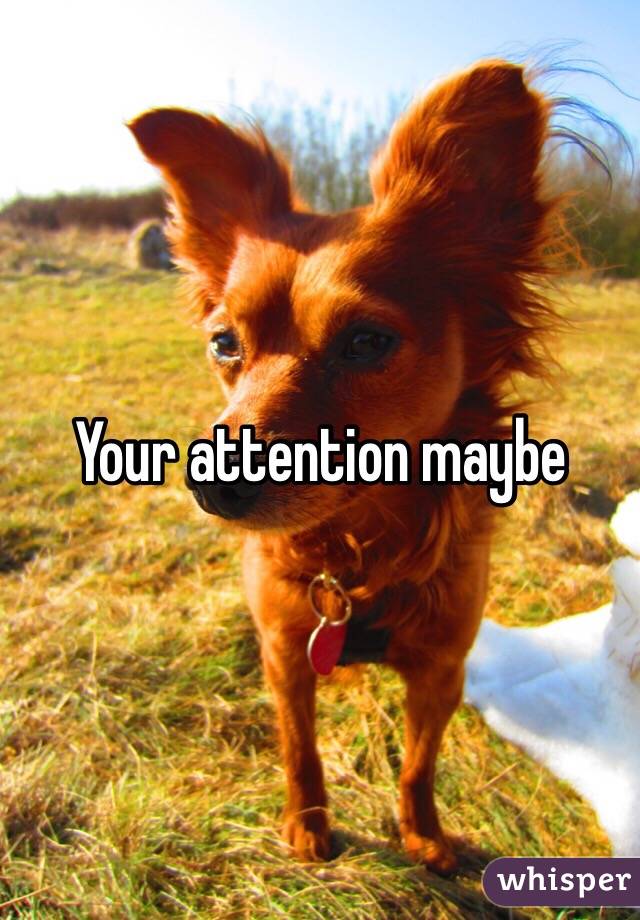 Your attention maybe 