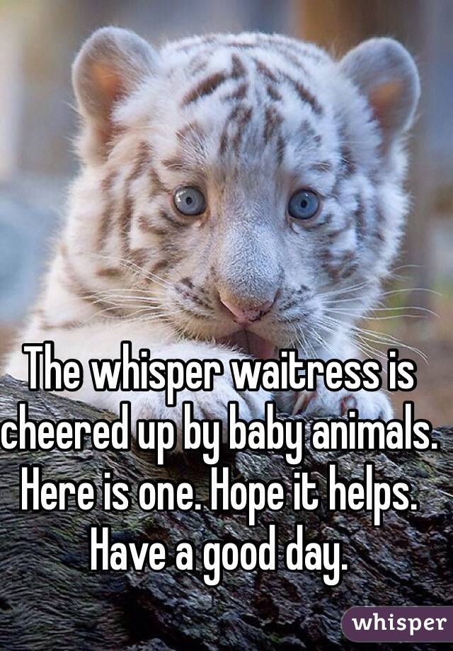 The whisper waitress is cheered up by baby animals. Here is one. Hope it helps. Have a good day. 