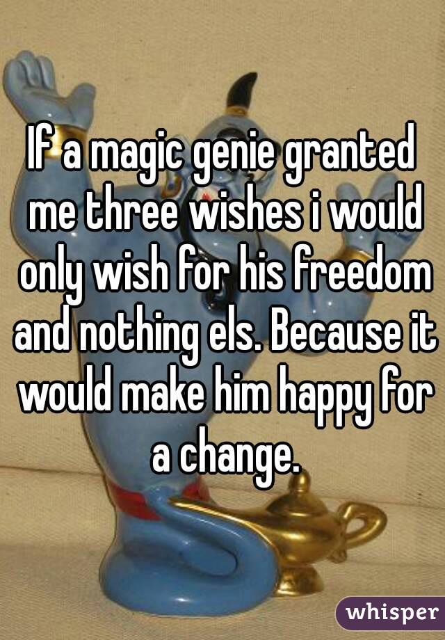 If a magic genie granted me three wishes i would only wish for his freedom and nothing els. Because it would make him happy for a change.