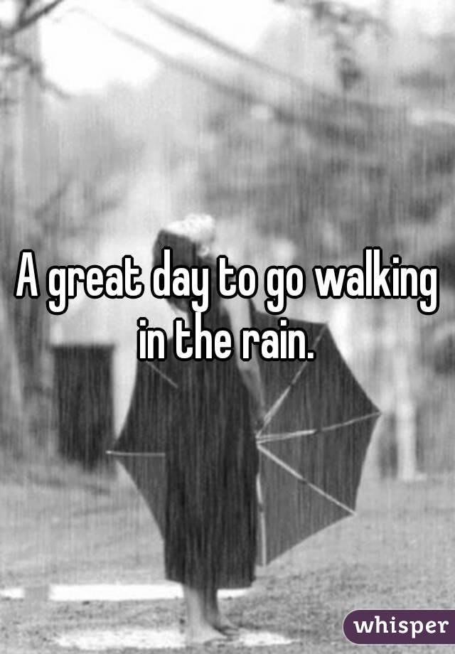 A great day to go walking in the rain. 