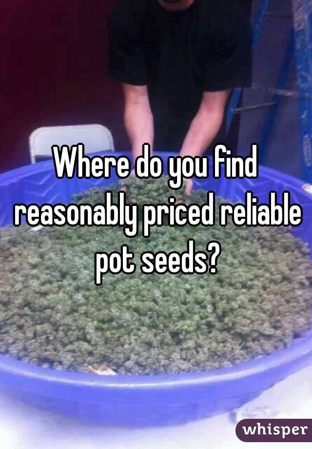 Where do you find reasonably priced reliable pot seeds?