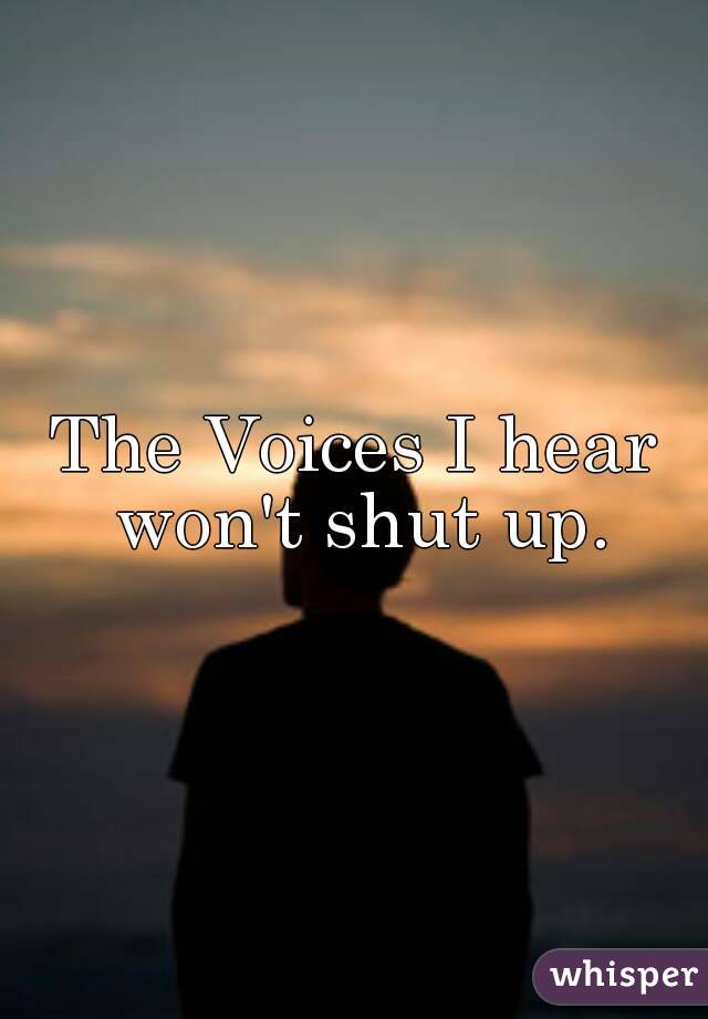 The Voices I hear won't shut up.