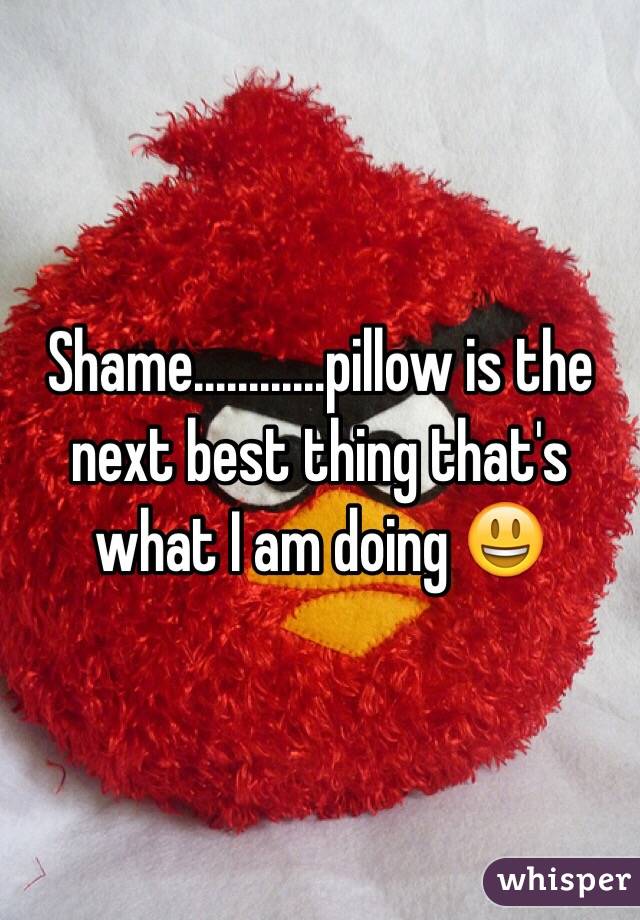 Shame............pillow is the next best thing that's what I am doing 😃