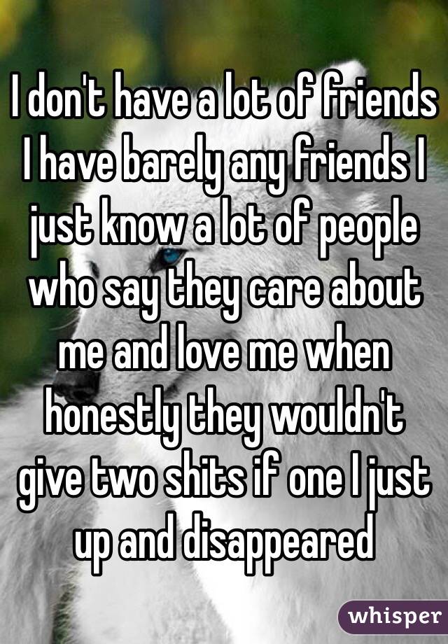 I don't have a lot of friends I have barely any friends I just know a lot of people who say they care about me and love me when honestly they wouldn't give two shits if one I just up and disappeared