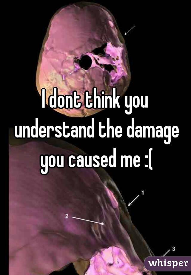 I dont think you understand the damage you caused me :(