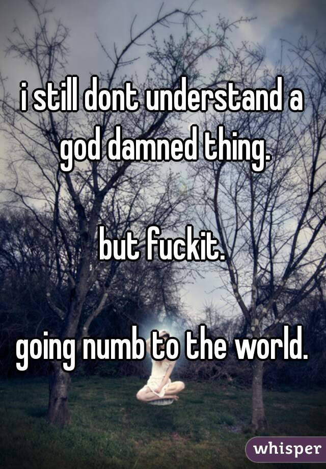 i still dont understand a god damned thing.

but fuckit.

going numb to the world.
