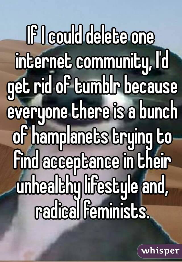 If I could delete one internet community, I'd get rid of tumblr because everyone there is a bunch of hamplanets trying to find acceptance in their unhealthy lifestyle and, radical feminists.