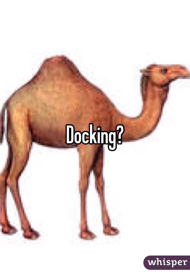 Docking?