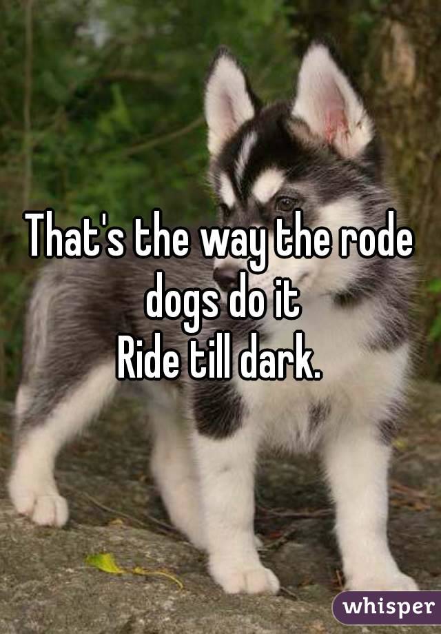That's the way the rode dogs do it
Ride till dark.