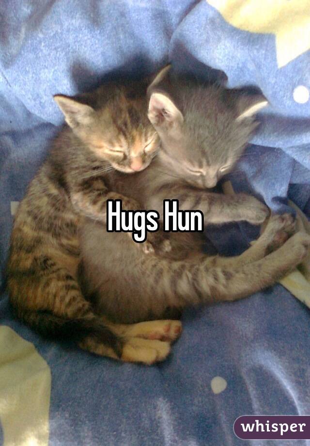 Hugs Hun 