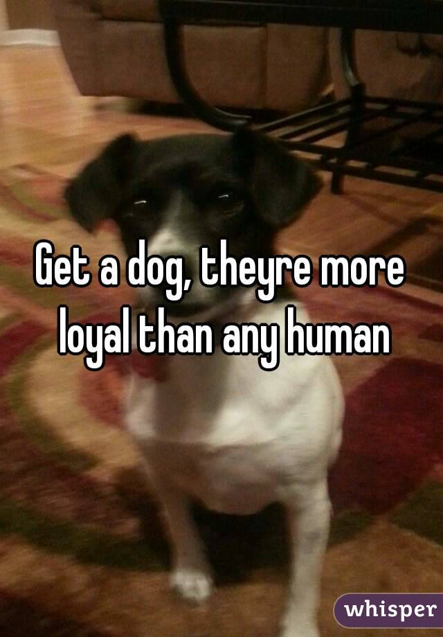Get a dog, theyre more loyal than any human