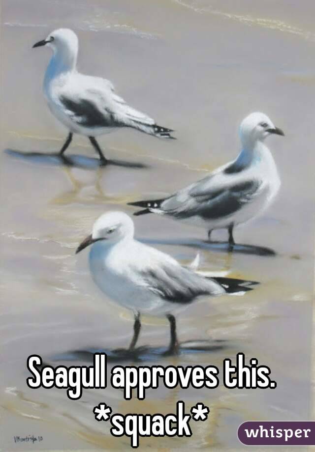 Seagull approves this.
*squack*