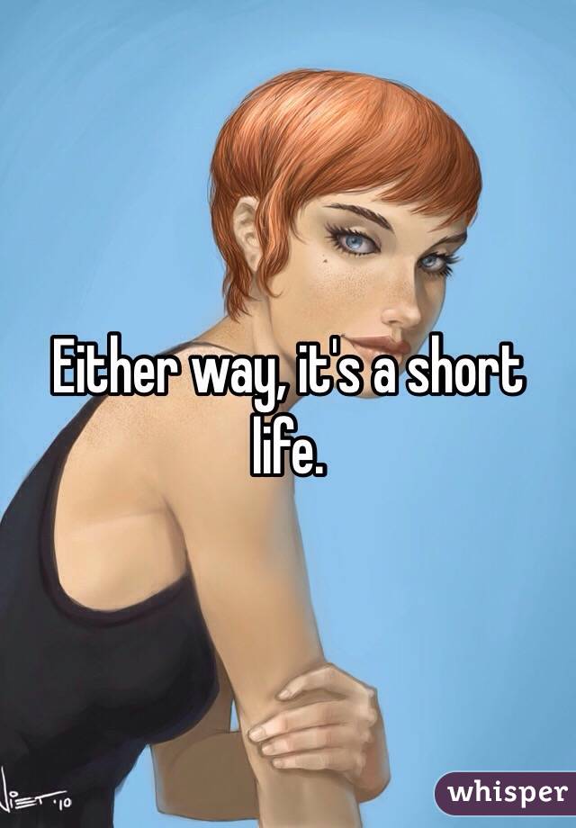 Either way, it's a short life. 