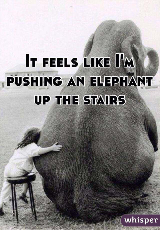 It feels like I'm pushing an elephant up the stairs