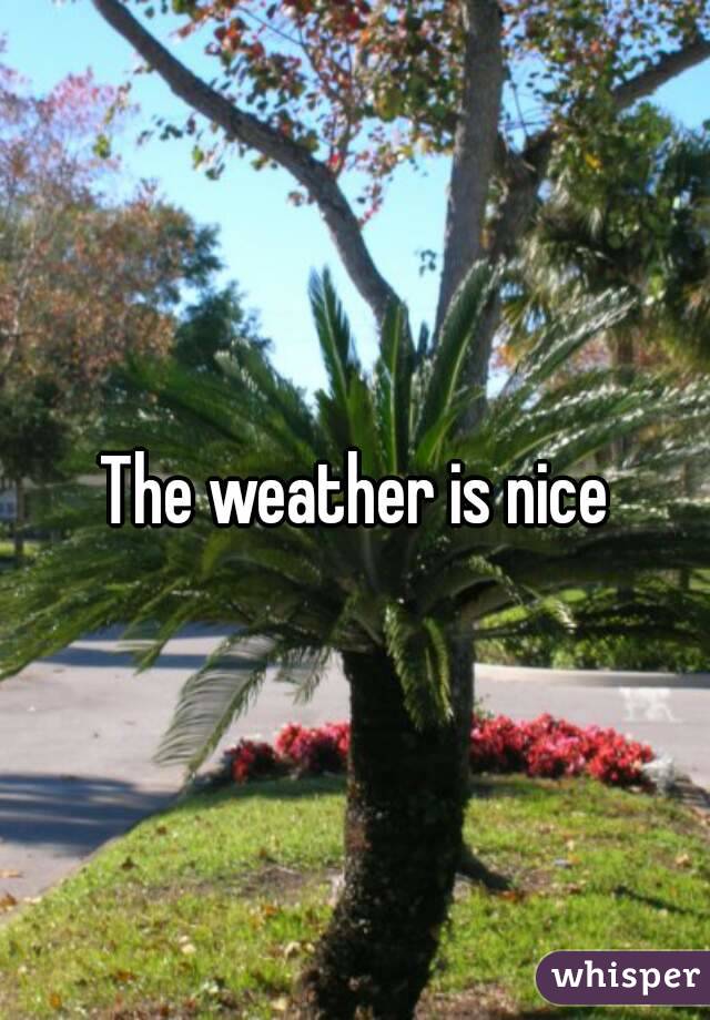 The weather is nice