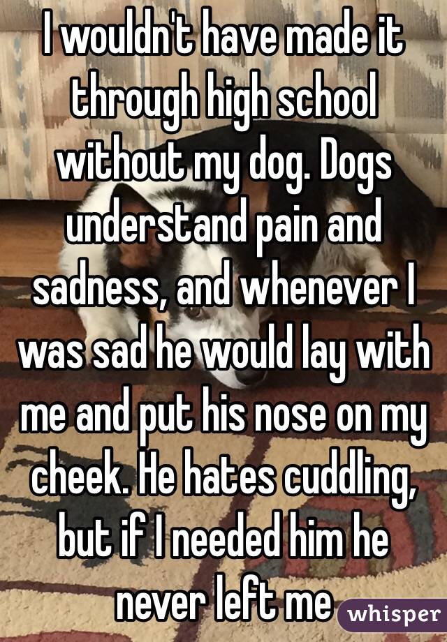 I wouldn't have made it through high school without my dog. Dogs understand pain and sadness, and whenever I was sad he would lay with me and put his nose on my cheek. He hates cuddling, but if I needed him he never left me