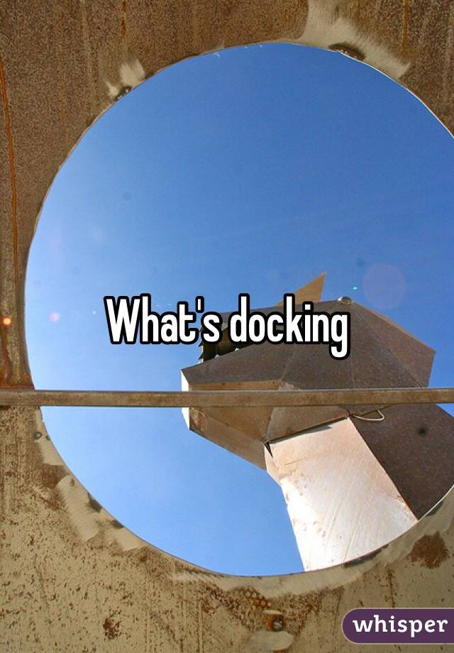 What's docking
