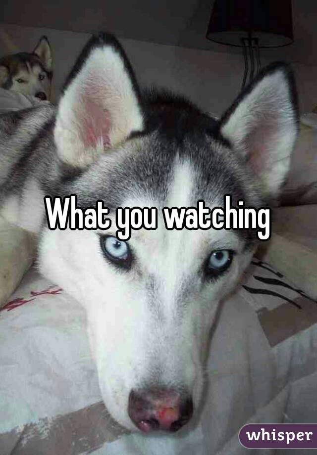 What you watching