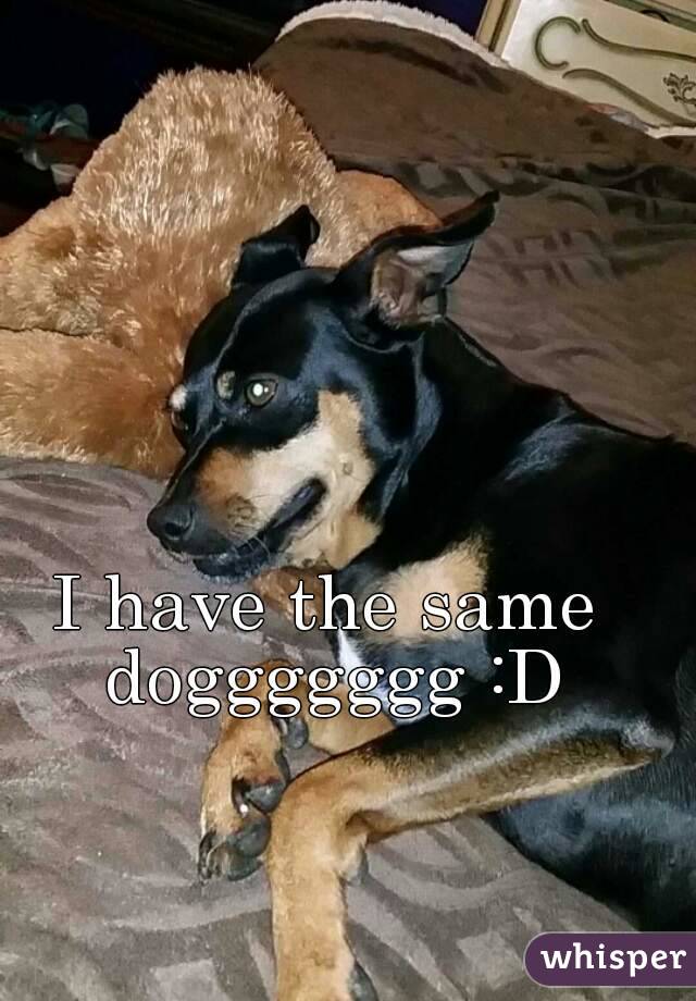 I have the same doggggggg :D