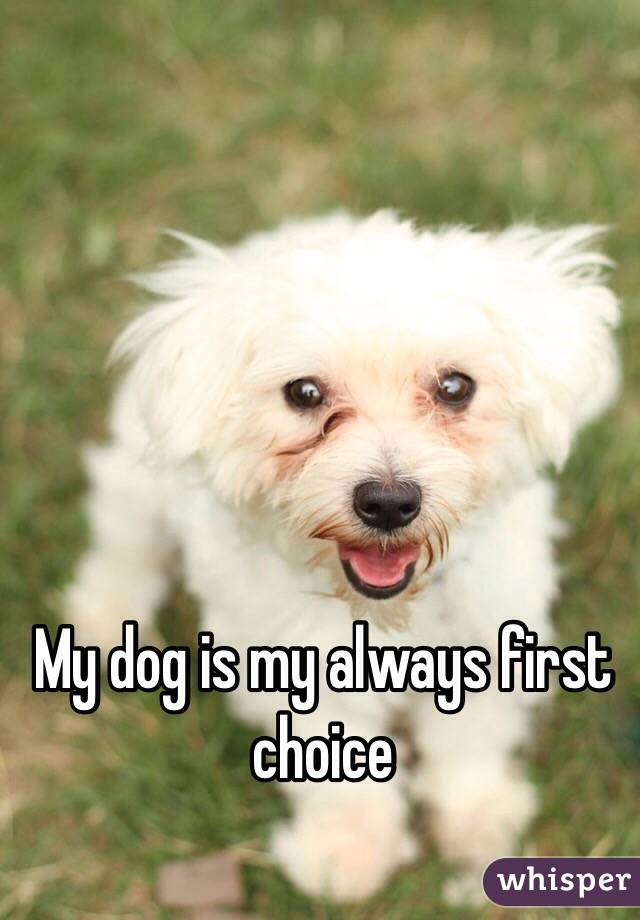 My dog is my always first choice 