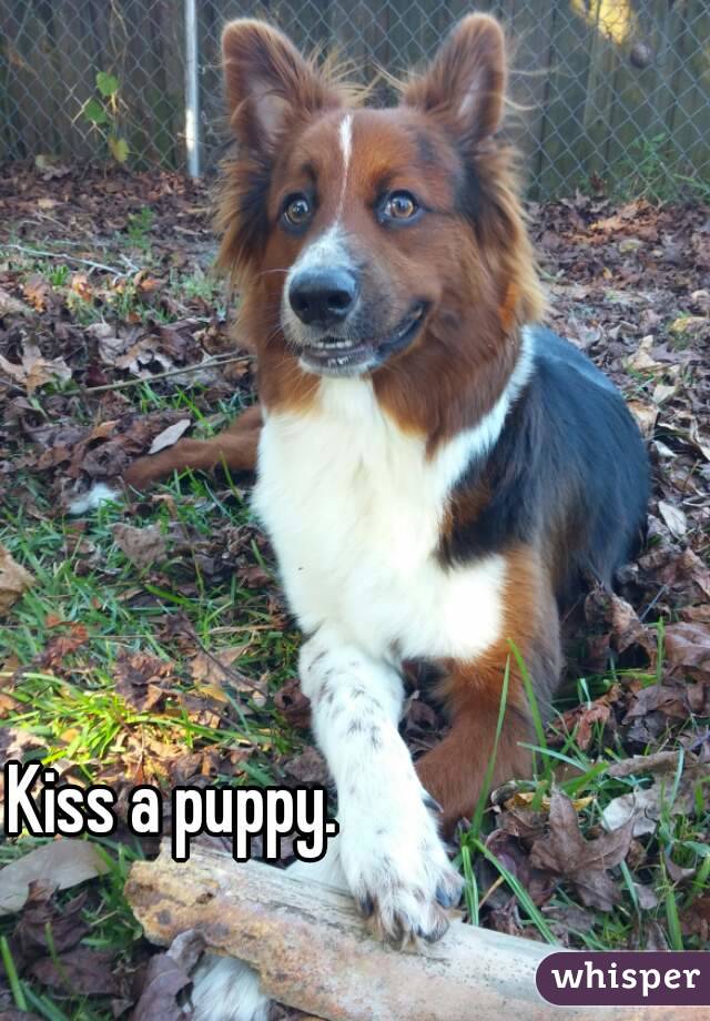 Kiss a puppy.
