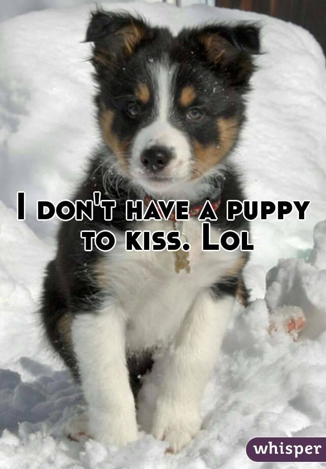 I don't have a puppy to kiss. Lol
