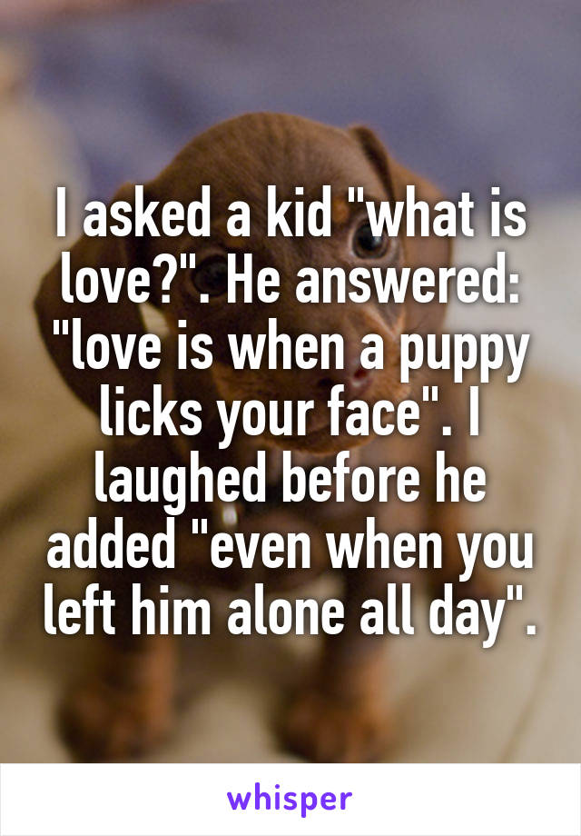 I asked a kid "what is love?". He answered: "love is when a puppy licks your face". I laughed before he added "even when you left him alone all day".