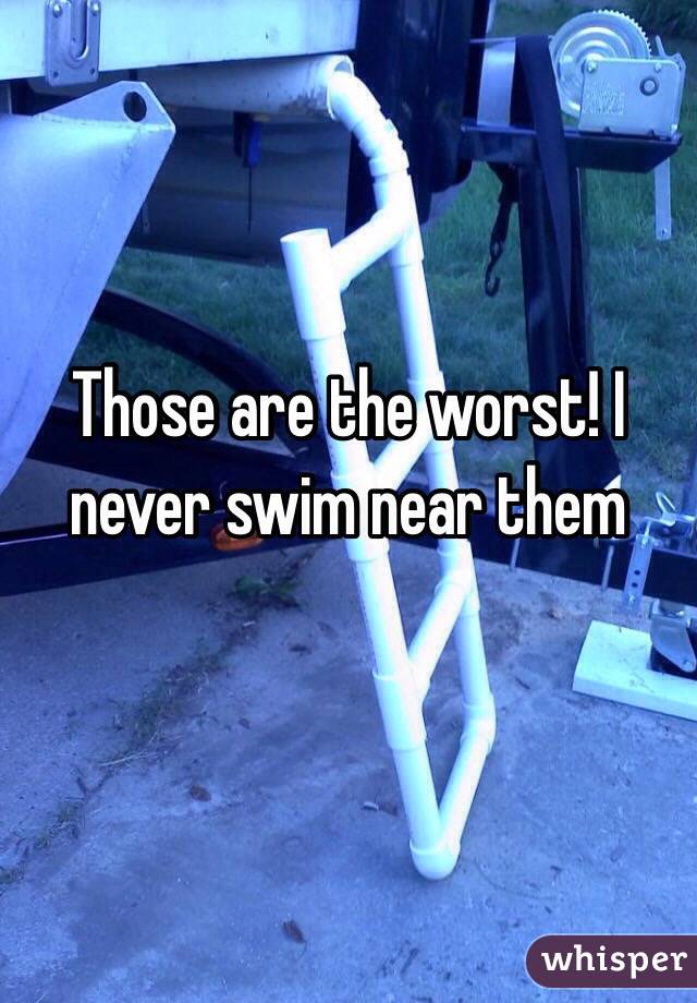 Those are the worst! I never swim near them 