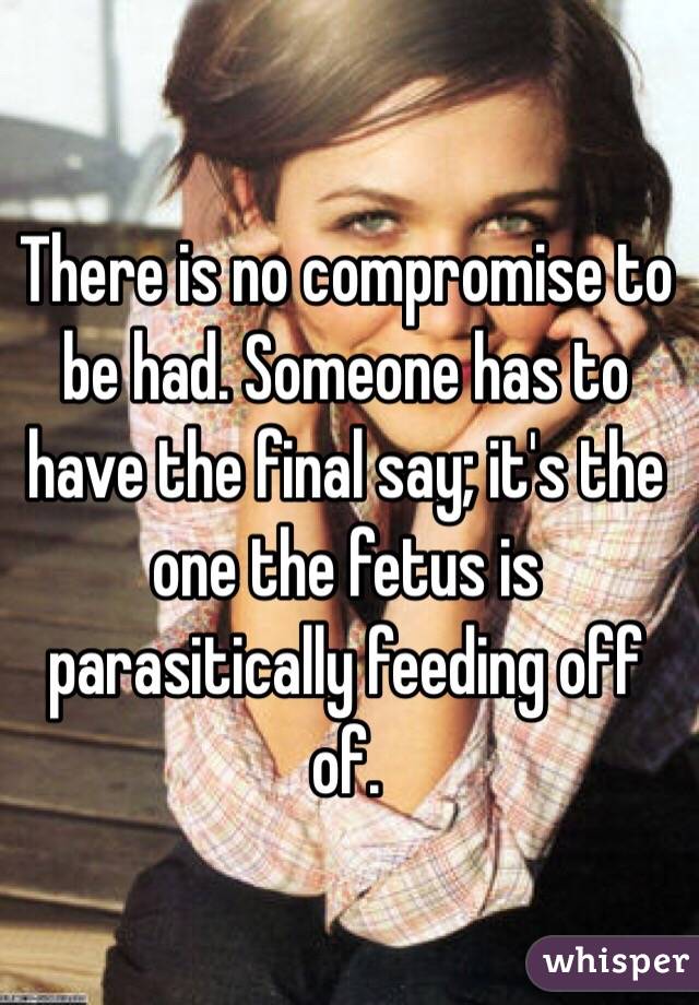 There is no compromise to be had. Someone has to have the final say; it's the one the fetus is parasitically feeding off of.