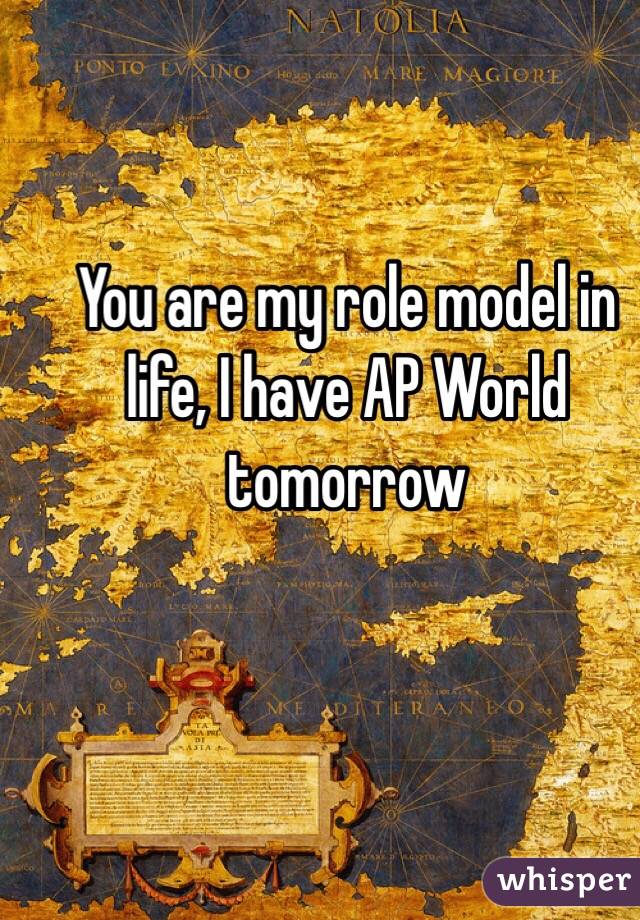 You are my role model in life, I have AP World tomorrow 