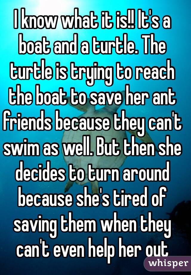 I know what it is!! It's a boat and a turtle. The turtle is trying to reach the boat to save her ant friends because they can't swim as well. But then she decides to turn around because she's tired of saving them when they can't even help her out 