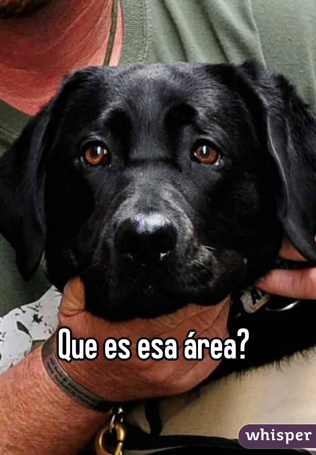 Que es esa área? 