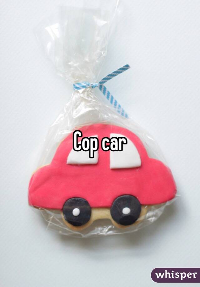 Cop car 